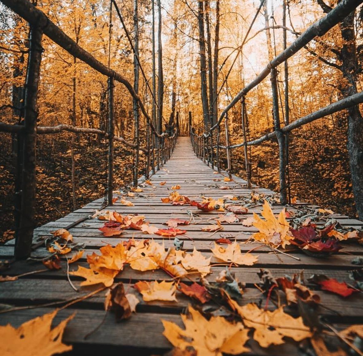 Autunno Squadratlantica