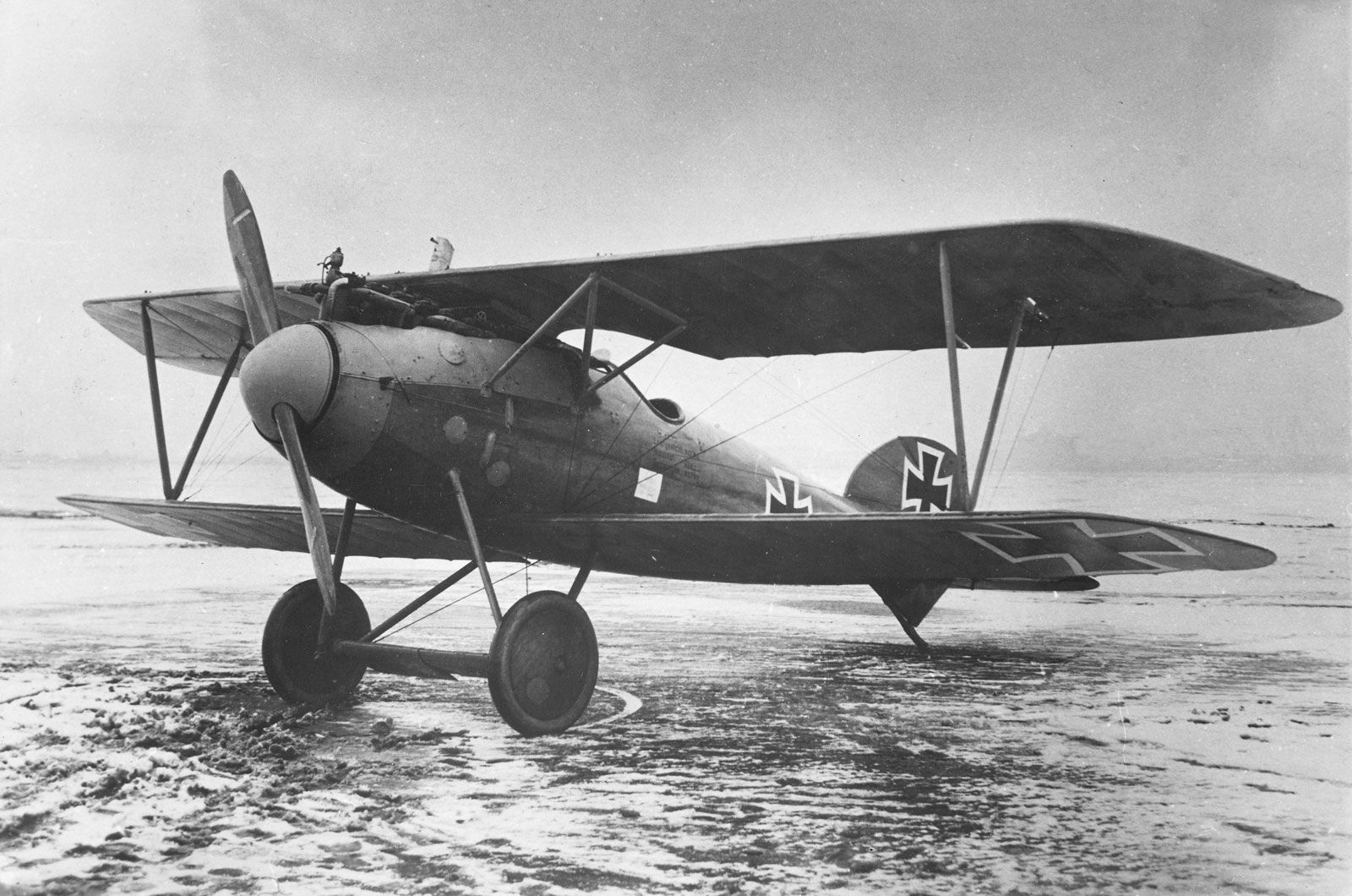 Albatros DIII Squadratlantica